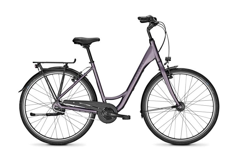 Raleigh DEVON 8 mystypurple matt 2020 - Wave -  