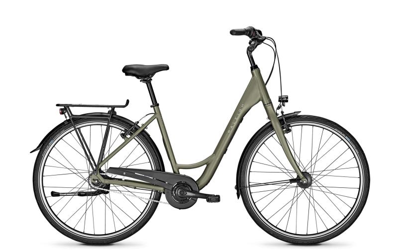 Raleigh DEVON 8 urbangreen matt 2020 - Wave -  