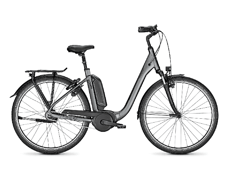 Raleigh KINGSTON 8 shadowgrey matt 2021 - 28