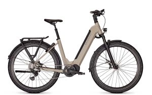 Kalkhoff ENTICE 5.B MOVE+ moonstonegrey matt 2023 - 29" 625 Wh Wave -