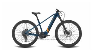 Conway Cairon S 4.0 BLUE/ORANGE 2023 - 29"/29" 750 Wh Diamant -