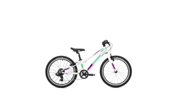 Conway MS 240 rigid WHITE/MINT 2023 - 24"/24" Diamant -