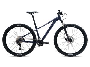 Liv Tempt 1 milky way 2024 - 29" Diamant -