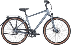 Pegasus Premio SL Belt 8 metallic grey 2023 - 28" Diamant Freilauf -