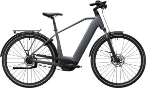 Advanced TOUR Pro Stone Grey 2024 - 28" 750 Wh Y-Rahmen Enviolo -