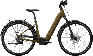 Advanced TREKKING Pro Khaki 2024 - 28" 625 Wh Y-Rahmen Kette -