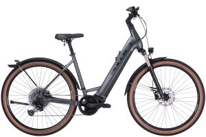 Bulls Cross Rider EVO 2 grey matt 2022 - 29" 750 Wh Wh Wave -