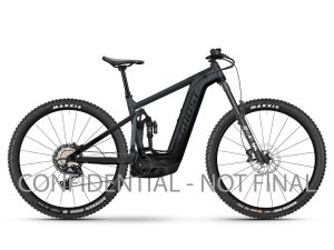 GHOST E-RIOT AM AL Universal dark grey/black - matt 2024 - 29" 750 Wh Diamant -