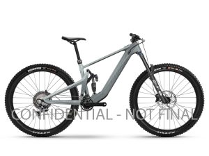 GHOST PATH RIOT CF/LC Advanced grey 1/pearl light grey - glossy 2024 - 29" 430 Wh Diamant -