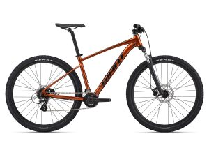 Giant Talon 3 amber glow 2023 - 29" -
