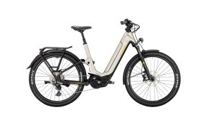 Victoria PARCOURS 4 good grey metallic matt 2024 - 27,5" 625 Wh Wave -