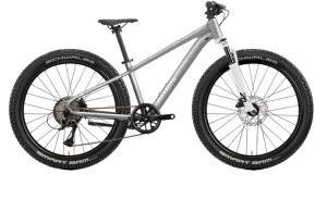 Raymon Nayta 26 Pro - 26 Zoll - Diamant - 2026