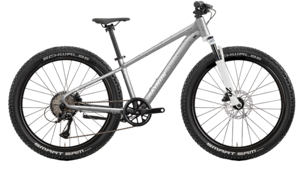 Raymon Nayta 26 Pro - 26 Zoll - Diamant - 2026