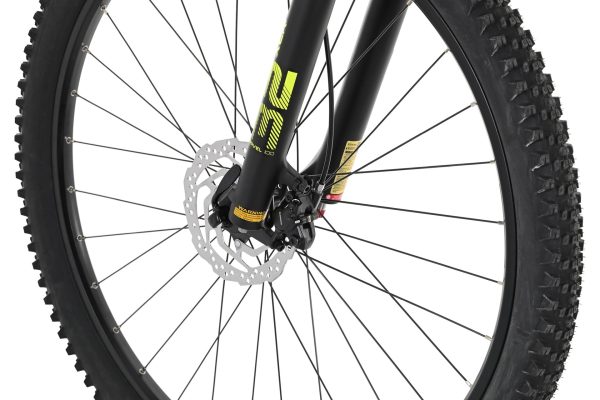 Carver Strict 150 - 29 Zoll - Diamant