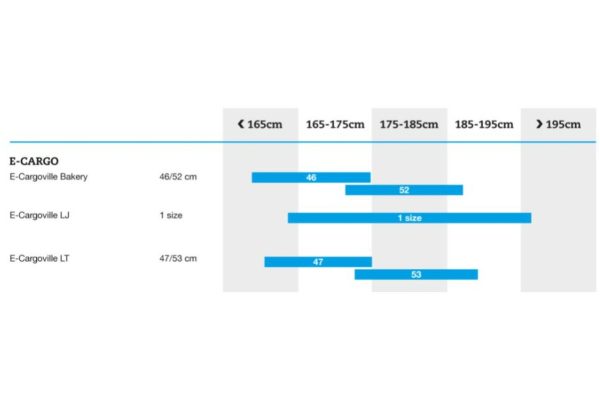Bergamont E-Cargoville LJ Expert - 625 Wh - 26 Zoll - Longtail