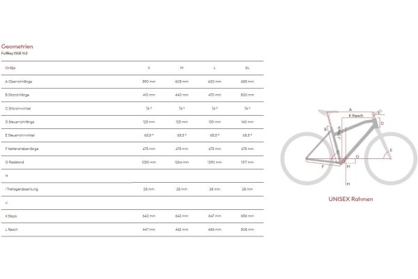 Raymon FullRay 150E 11.0 - 630 Wh - 29 Zoll - Fully