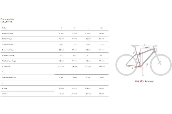 Raymon TrailRay 140E 8.0 - 630 Wh - 29 - 27,5 Zoll - Fully