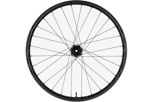 Race Face Next R 31 Super Boost Microspline 29" Hinterrad