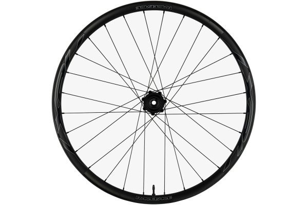 Race Face Next-R 36 Boost Microspline 29" Hinterrad