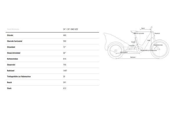 Cube Trike Family Hybrid 750 - 750 Wh - 24 Zoll - Dreirad - 2026