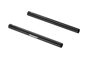 Giant Alu Extensions Straight