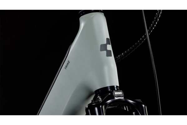 Cube Trike Family Hybrid 750 - 750 Wh - 24 Zoll - Dreirad - 2026