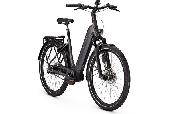 Kalkhoff Image 5 Advance + ABS - 625 Wh - 29 Zoll - Tiefeinsteiger