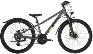 Carver Strict 24 HD Street - 24 Zoll - Diamant