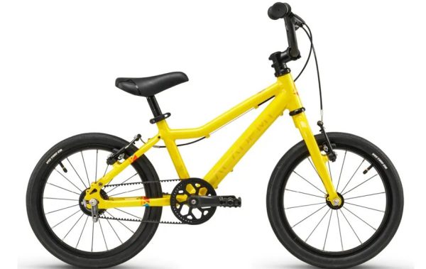 Academy Grade 3 Belt - 16 Zoll - Diamant - 2026