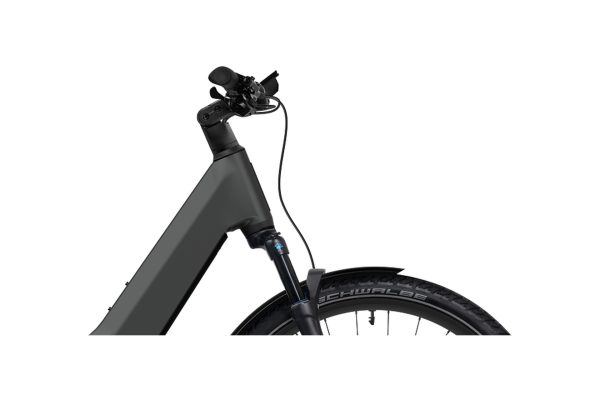 4614928_19475908 Flyer Goroc TR 7.33 - 800 Wh - 29 Zoll - Tiefeinsteiger