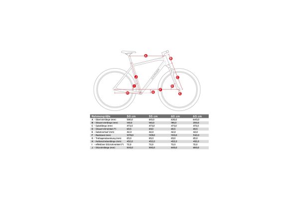 Carver Cityzen 130 - 28 Zoll - Diamant - 2026