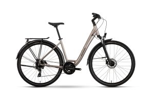 Raymon Zayn Comp - 28 Zoll - Tiefeinsteiger - 2026