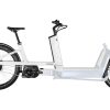 Bergamont E-Cargoville LJ Expert - 625 Wh - 26 Zoll - Longtail