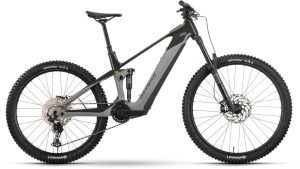 Raymon Tarok - 756 Wh - 29 - 27,5 Zoll - Fully