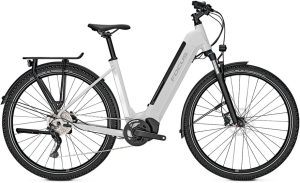 Focus Planet2 6.8 - 625 Wh - 29 Zoll - Tiefeinsteiger