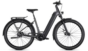 Kalkhoff Image 3 Excite - 600 Wh - 29 Zoll - Tiefeinsteiger - 2026