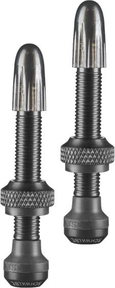 Schwalbe Tubeless Ventil Aluminium SV 40 mm - 2er Set