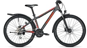 Raleigh Daymax - 29 Zoll - Diamant
