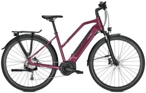 Raleigh Kent 9 - 500 Wh - 28 Zoll - Trapez