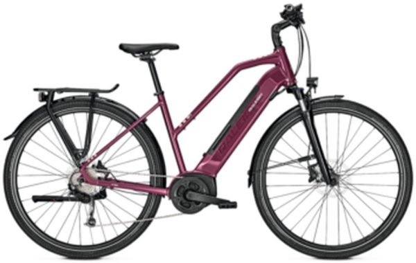 Raleigh Kent 9 - 500 Wh - 28 Zoll - Trapez
