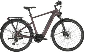 Carver Route E.530 - 625 Wh - 28 Zoll - Diamant - 2026