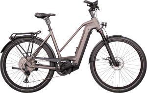 Hercules Futura Max I-12 - 750 Wh - 28 Zoll - Trapez