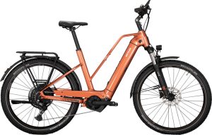 Kettler Quadriga Town & Country P10 - 625 Wh - 27,5 Zoll - Trapez