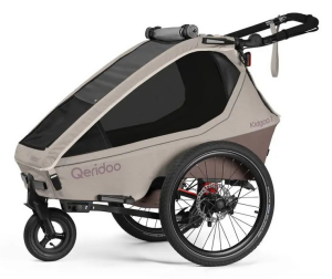 Qeridoo Kidgoo 1 Pro