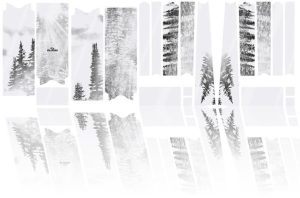 Unleazhed Rahmenschutzfolie Gravelbike BPG01 Forest black glossy