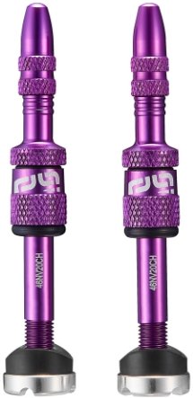 ETHIRTEEN Quick Fill Tubeless Presta Ventile 19-23mm - 2 Stück