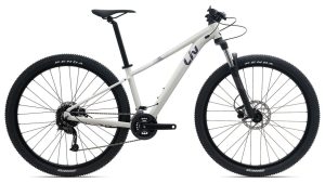 Liv Tempt 3+ - 29 Zoll - Diamant