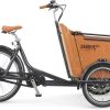 8713568547956 Babboe Curve Mountain - Enviolo - 500 Wh - 26 Zoll - Dreirad - 2026