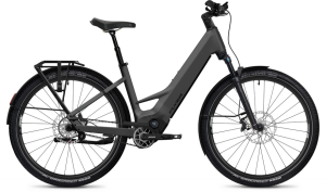 Flyer Goroc TR 7.33 - 800 Wh - 29 Zoll - Tiefeinsteiger