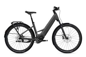 Flyer G1 Goroc TR 7.33 - 800 Wh - 28 Zoll - Tiefeinsteiger - 2026